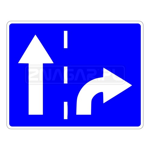 Znak Uzupełniający F-10 - Kierunki na Pasach Ruchu 870x720mm II gen.